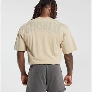 2/$25 Gymshark Mens Heritage Washed Tshirt-desert beige oversized fit